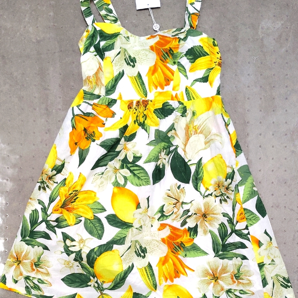 WAYF NWT DESI BRIGHT FLORAL SLEEVELESS STRETCH CORSET MIDI DRESS WOMEN'S Size Sm